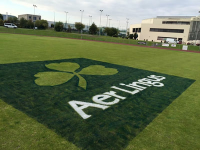 Aer lingus logo painted onto pitch at ALSAA