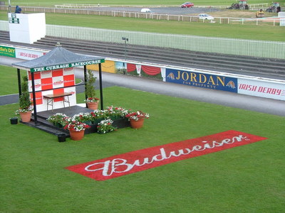 Parade ring budweiser grass graphcis logos painted at the Curragh racecourse